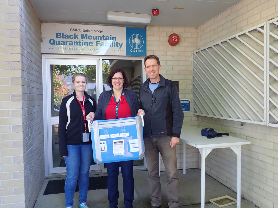 CSIRO researchers Elissa Rice, Dr Valerie Caron, Patrick Gleeson. Source: CSIRO