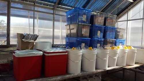 Monitoring kits ready to be delivered